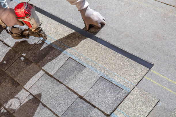 Best Shingle Roofing Installation  in Kittredge, CO